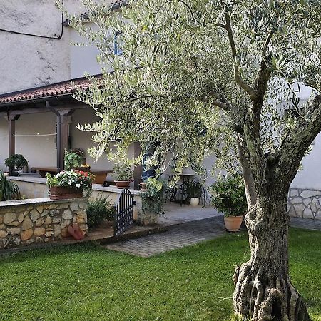 Apartment Vita Пореч Экстерьер фото